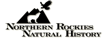 Northern Rockies Natural History