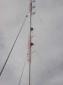 KZLO backup antenna